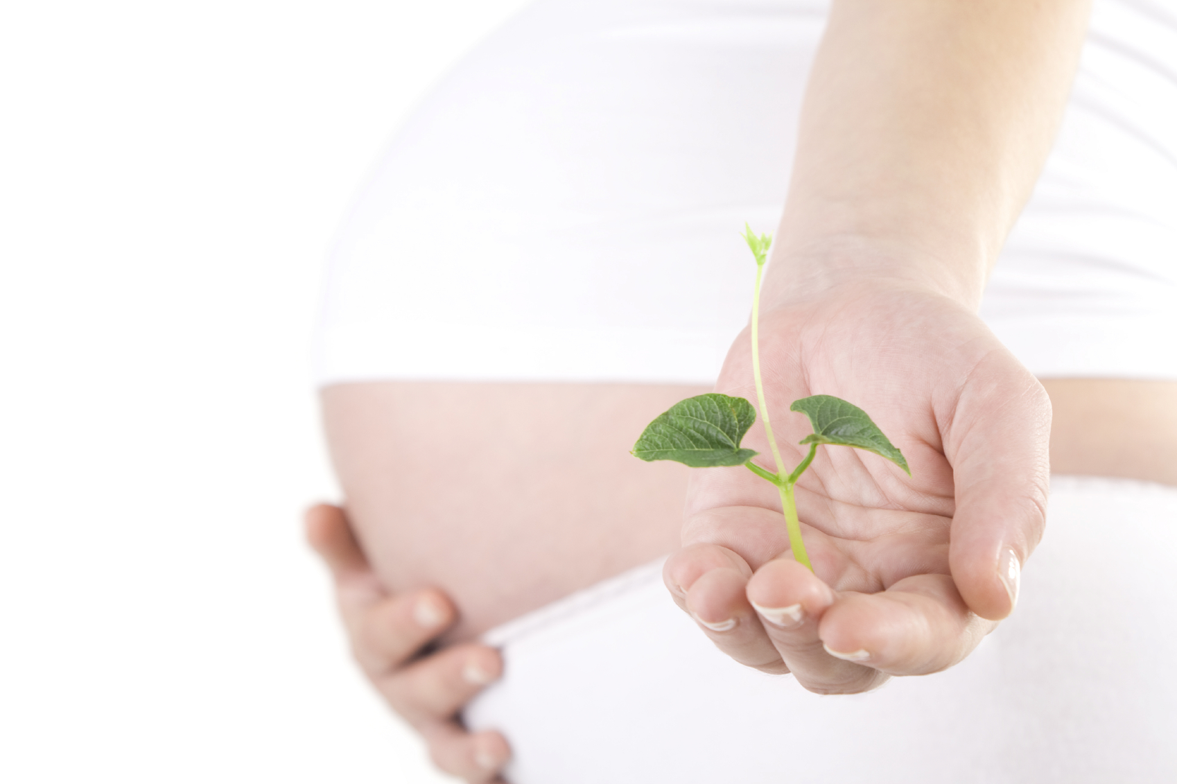 Infertility Gainesville Acupuncture & Holistic Medicine
